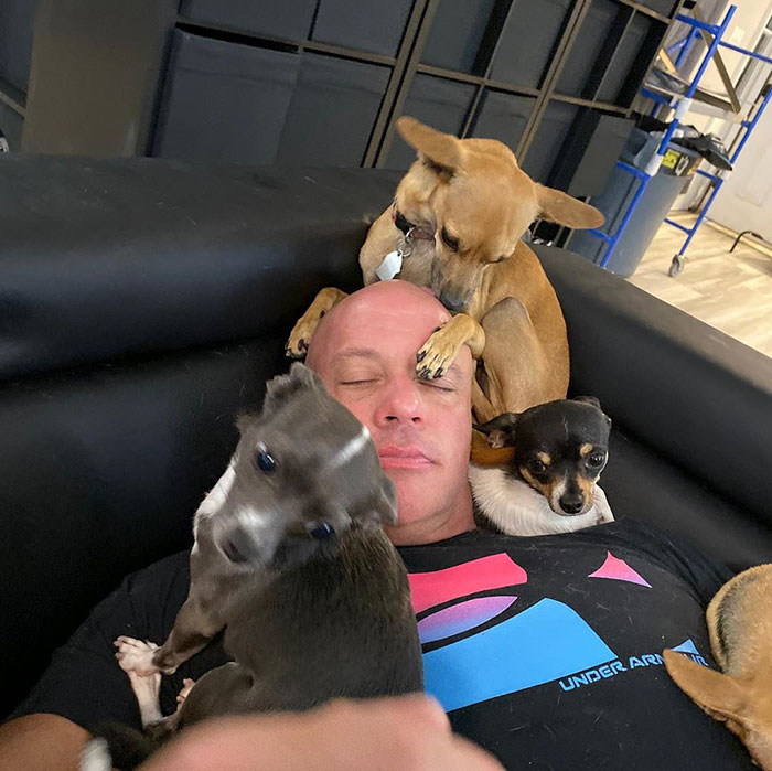 Man Used To Make Fun Of Little Dogs But Then Get Saved By One Chihuahua And Now He Spends His Life Rescuing Them