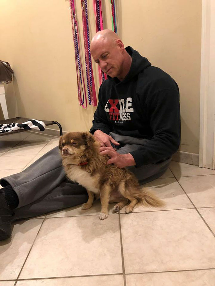 Man Used To Make Fun Of Little Dogs But Then Get Saved By One Chihuahua And Now He Spends His Life Rescuing Them