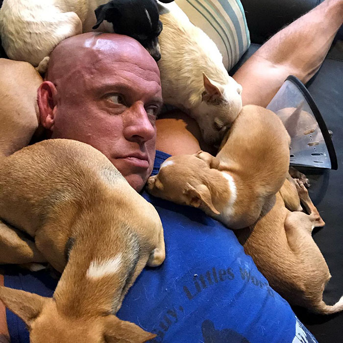 Man Used To Make Fun Of Little Dogs But Then Get Saved By One Chihuahua And Now He Spends His Life Rescuing Them