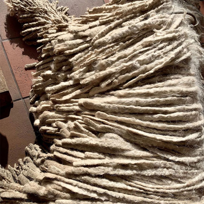 Hanga, the Mop Dog Who Went Viral For One Of Her Swimming Video