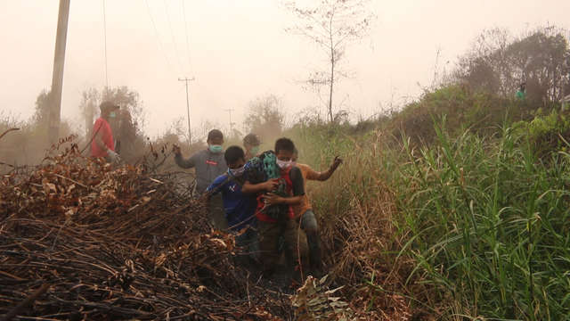 Rescuers Come In Time To Save 2 Orangutans From The Burnt Down Forest In Indonesia