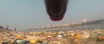 A Video of the Cruel Life of a Stray Dog in India filmed with a Go Pro on the stray dog