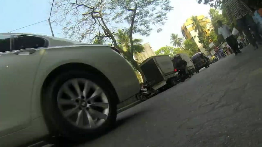 A Video of the Cruel Life of a Stray Dog in India filmed with a Go Pro on the stray dog