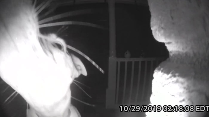 Chika, the pet dog who got locked out and then ring doorbell at 2 am only to got recorded by the camera