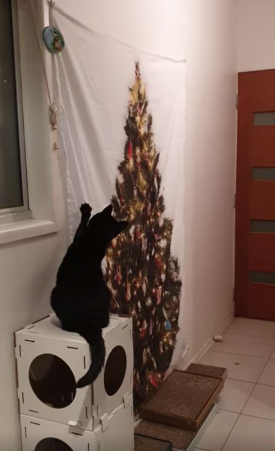 Cat Is Frustrated Because She Is Unable To Knock Down The Strange 'Tree'