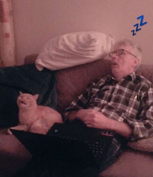 A Caring Cat Walks Really Slowly For His Best Friend On Crutches To Stay Right Next To Him