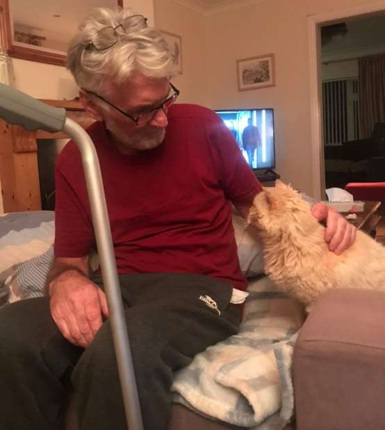 A Caring Cat Walks Really Slowly For His Best Friend On Crutches To Stay Right Next To Him