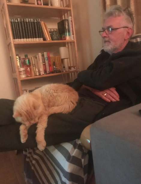 A Caring Cat Walks Really Slowly For His Best Friend On Crutches To Stay Right Next To Him