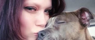 A Woman Records Her Fiancé Secretly As He Sings A Sweet Song To The Family Dog