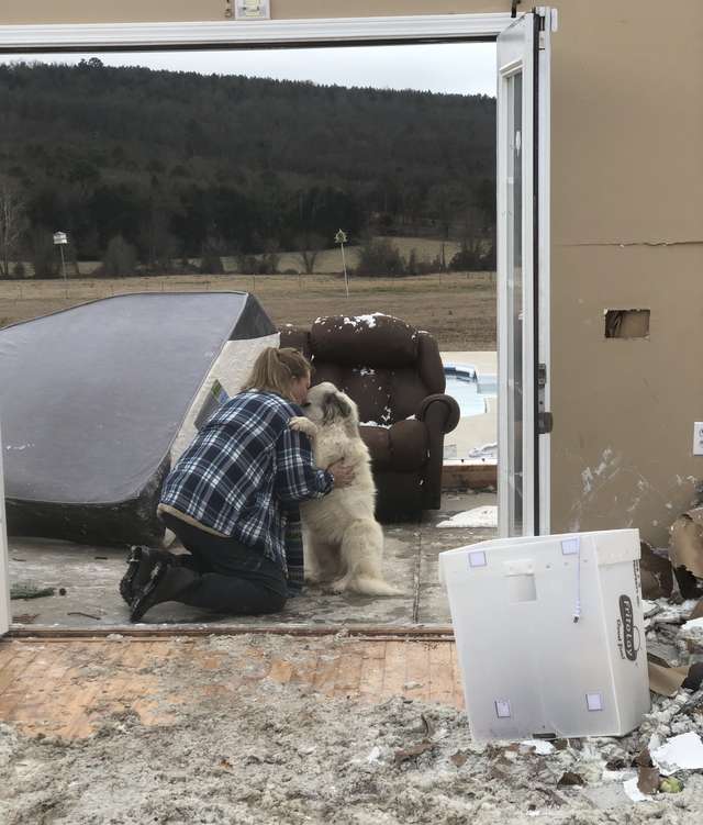 Sweetest Reunion Of A Dog With Her Mom After Their Home Gets Destroyed by a Tornado