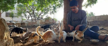One Man Stays Behind in abandoned Syrian City to Take Care of Cats