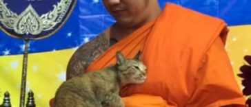 Monk Tries Hard To Control His Laughter After A Stray Cat Interrupts His Prayer Service