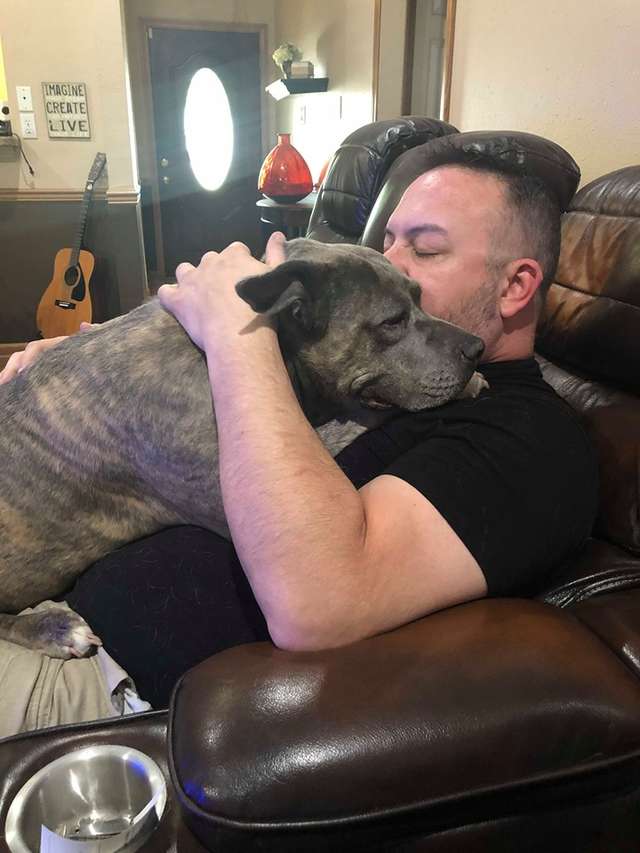 Rescued Pitbulls Stopped An Attempted Robbery To Save Their Owner's Life