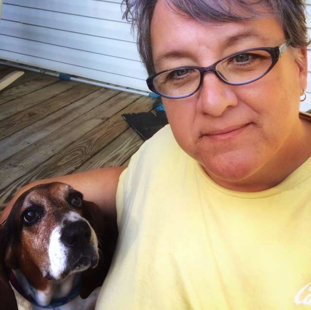 Chubby Yet Cute Dog Gives Up On His Exercise Right In The Middle Adorably