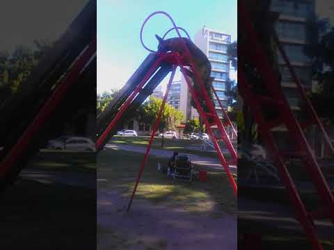 This Playful Dog Is Very Fond Of Going Down The Slide