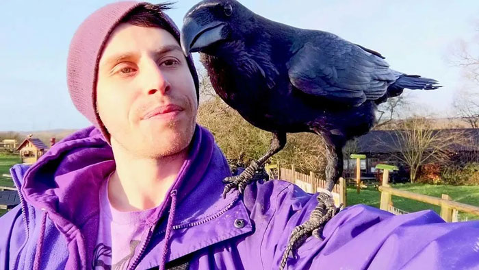 Meet Loki, The Raven Who Loves Companionship and Cuddles