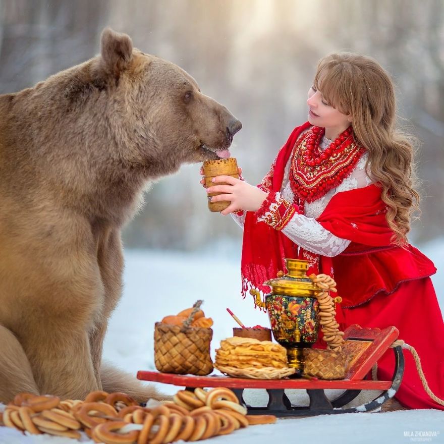 Abandoned Russian Brown Bear Rescued As A Cub Starts Career As A Model