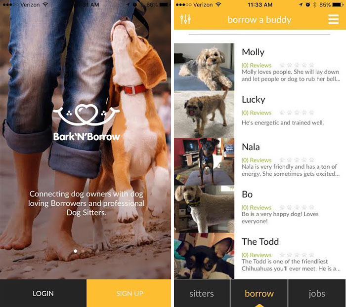 New App Allows Anyone Borrow A Dog For Walking And Playing With
