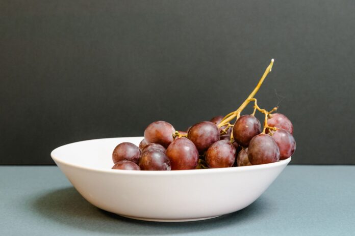 Bowl of fresh red grapes – can dogs eat grapes? No, grapes are toxic to dogs