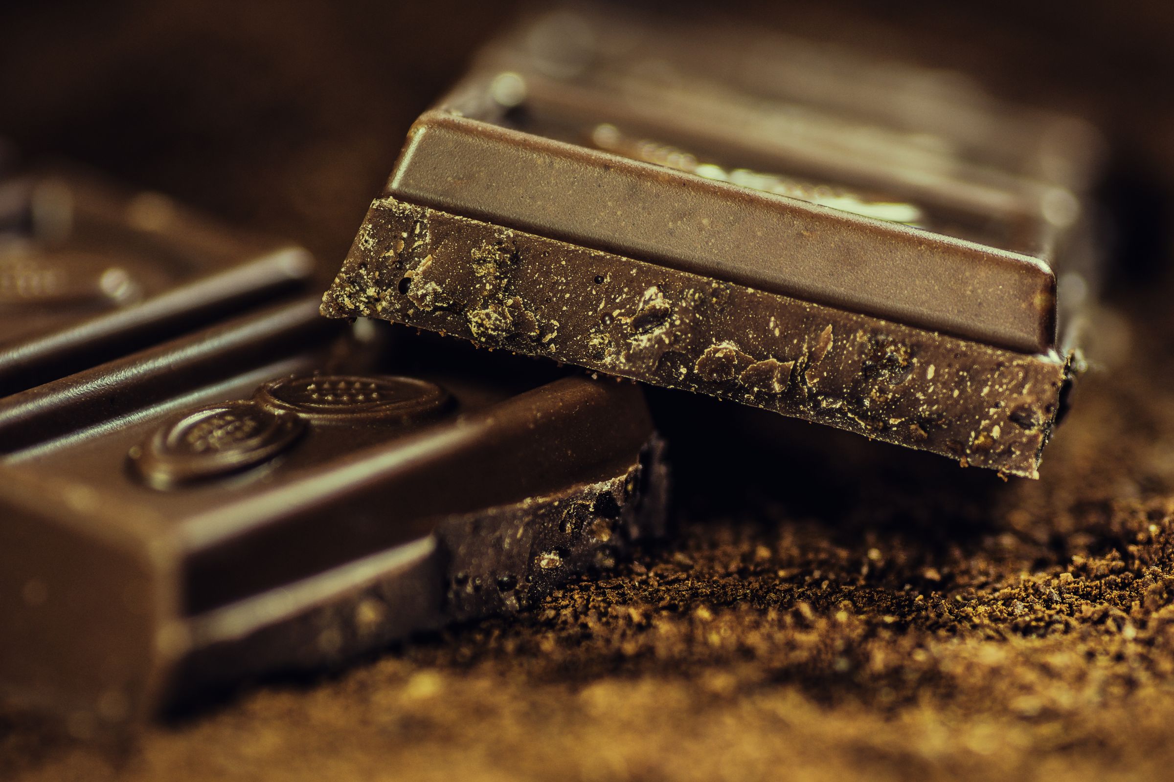 Dark chocolate dusted with cocoa powder – cocoa powder and baking chocolate are the most concentrated sources of theobromine