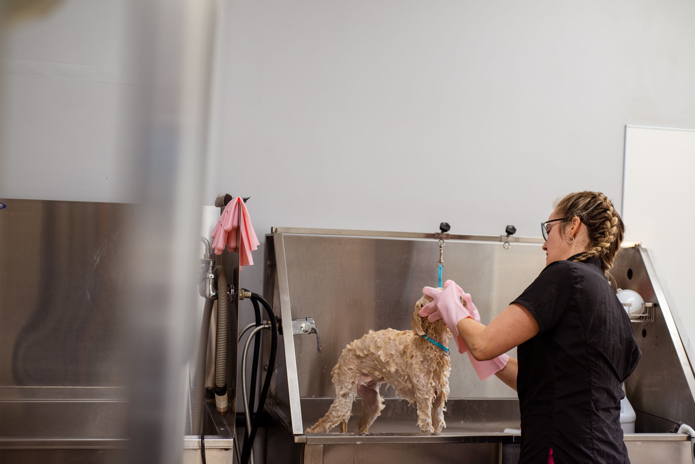 Dog being bathed and groomed in a salon – correct bathing helps, over-bathing makes dry skin worse