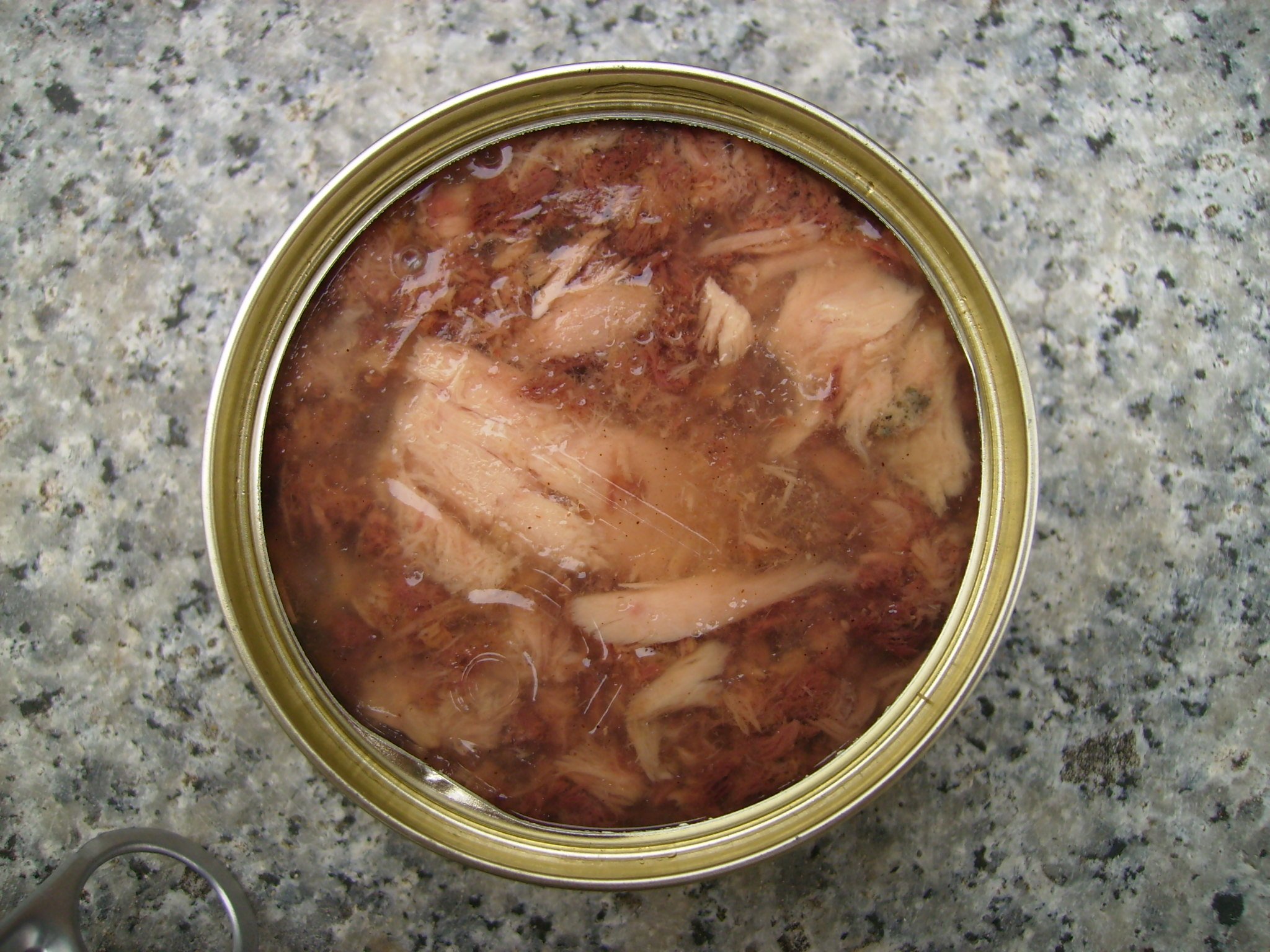 An opened tin of wet cat food photographed from above
