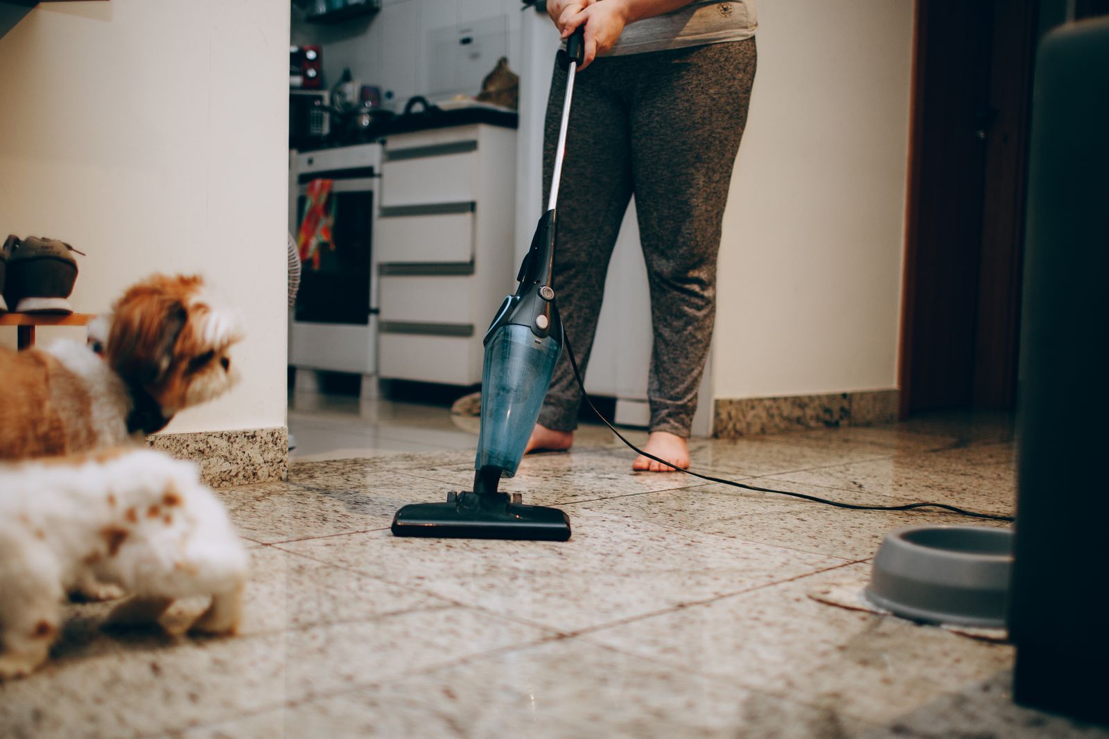 Woman vacuuming the floor while her dog watches – vacuuming daily removes flea eggs and larvae from the home