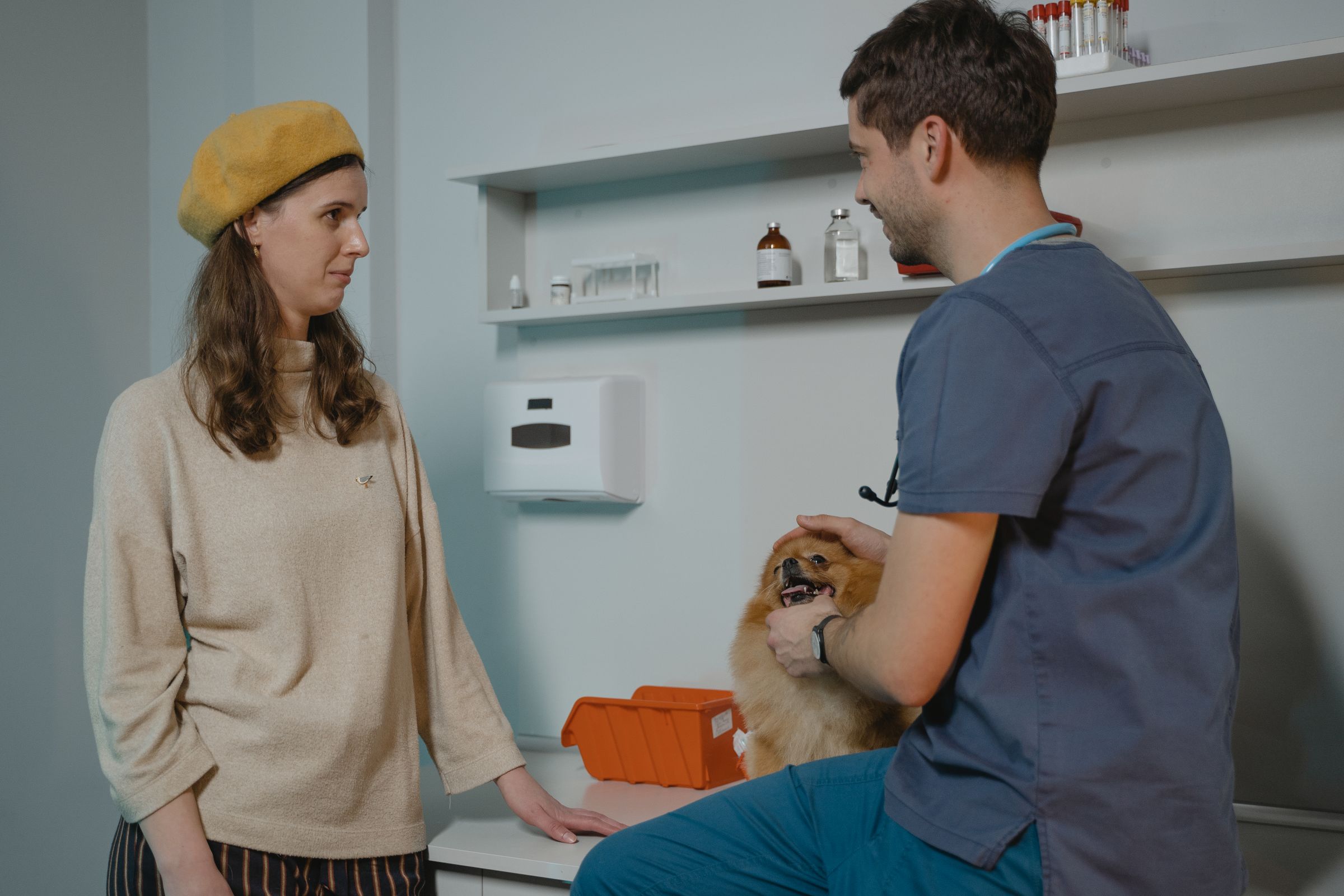 Veterinarian talking with a dog owner in a clinic while holding a small dog
