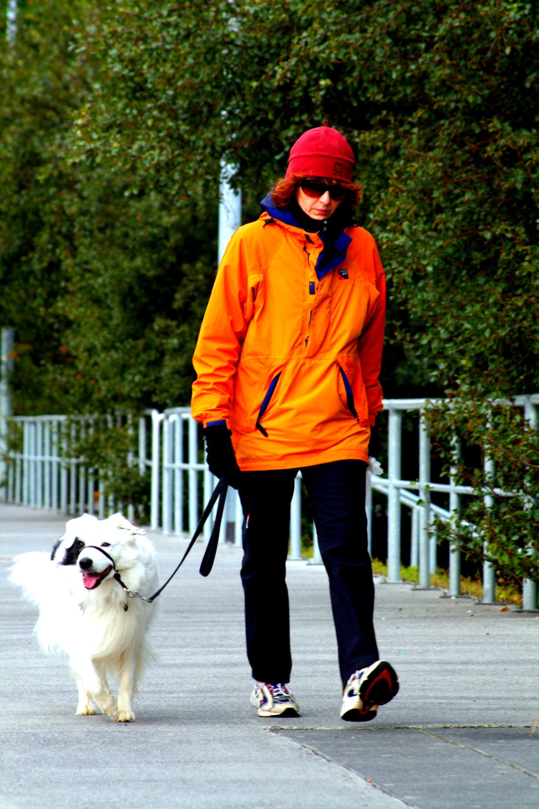 Owner walking a small white dog along a path in cold weather