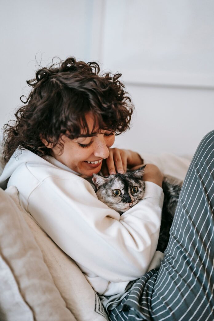 Happy woman stroking a purring cat on a cosy sofa – why do cats purr Happy woman stroking a purring cat on a cosy sofa – why do cats purr
