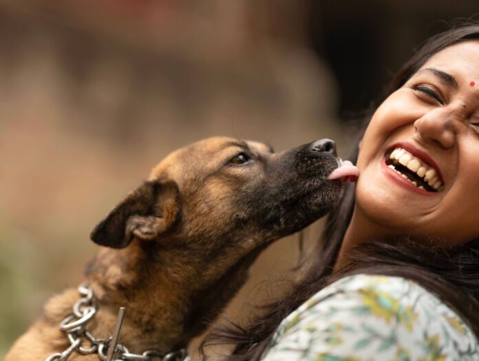 Happy woman laughing as her dog affectionately licks her face – why does my dog lick me