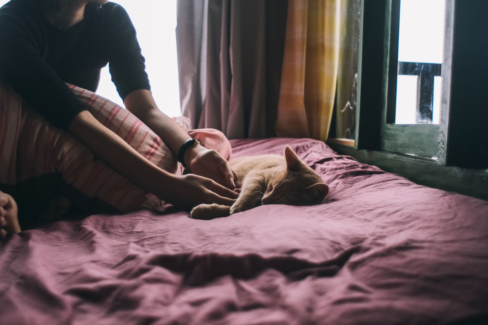 Woman relaxing in bed with her sleeping cat – how to share a bed with your cat and still sleep well