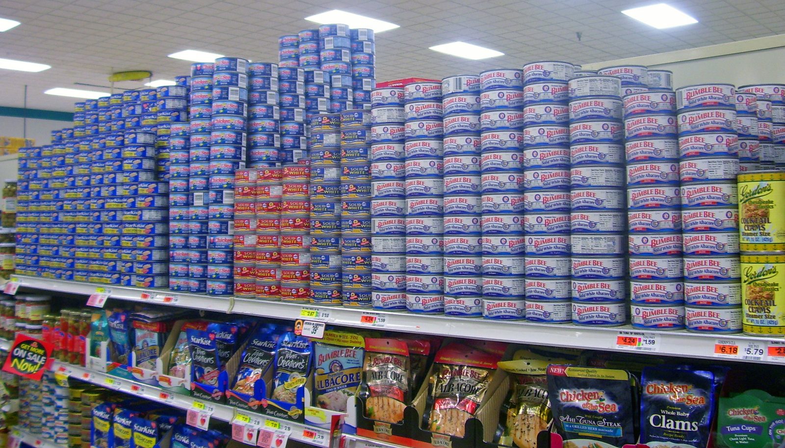 Stacked cans of tuna and seafood on supermarket shelves