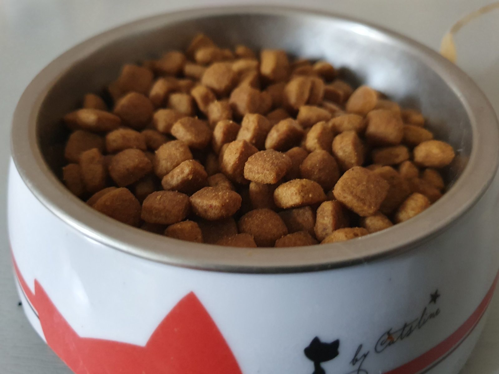 Dry cat kibble filling a ceramic bowl decorated with a cat motif