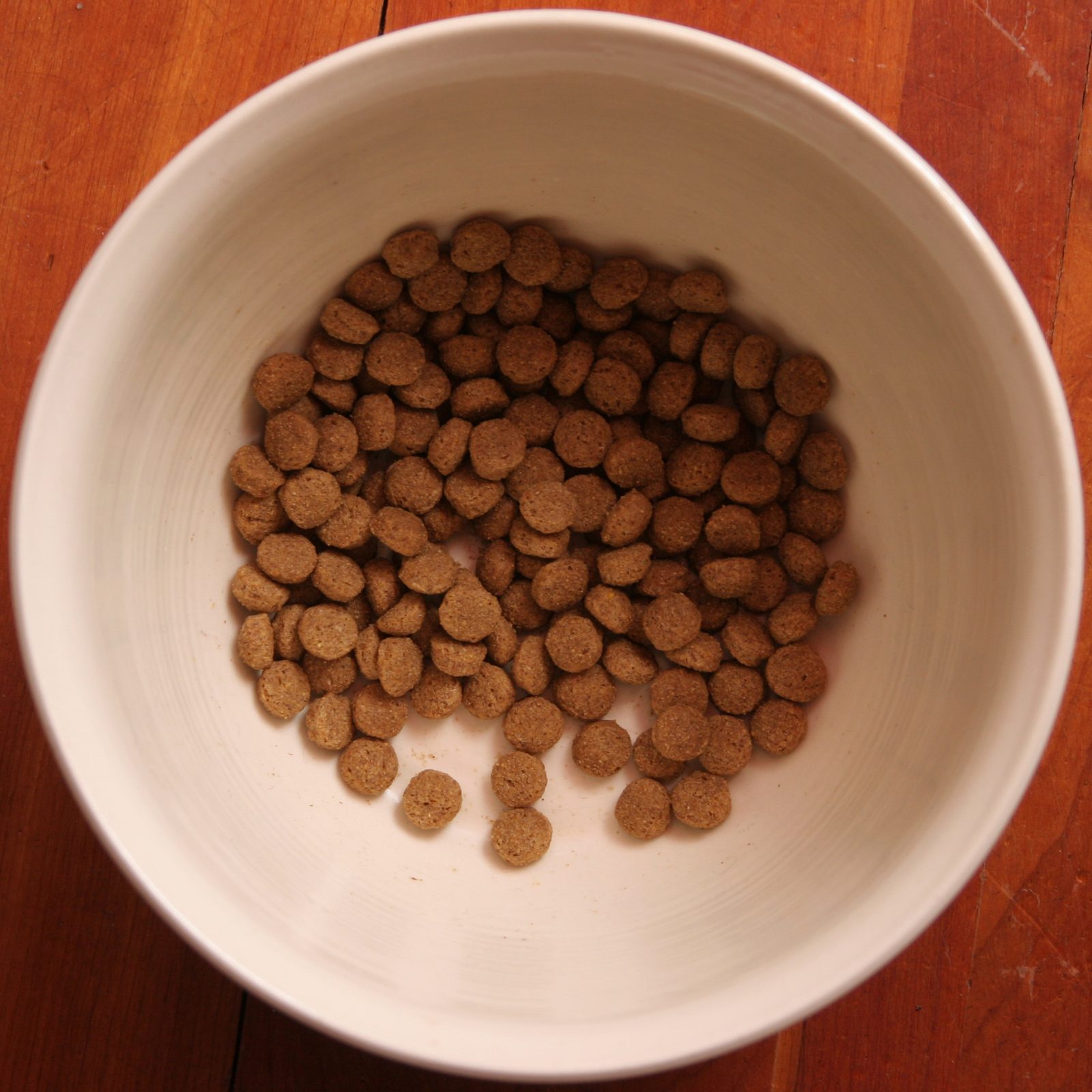 Dry kibble in a pale ceramic bowl on a wooden floor