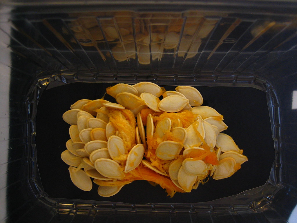 A pile of raw pumpkin seeds, the most common tapeworm home remedy claim